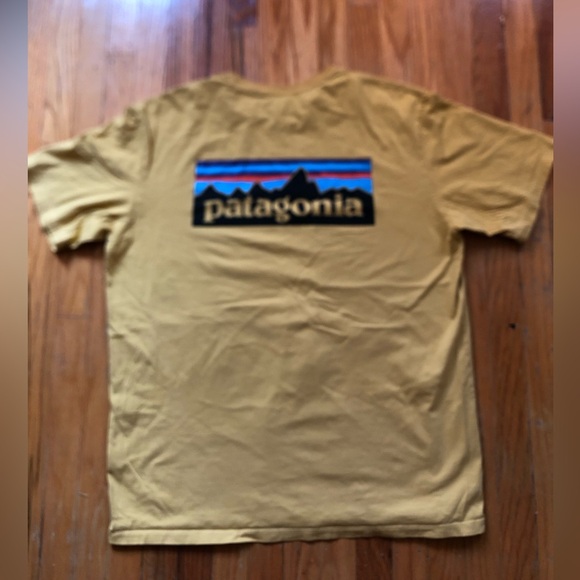 Patagonia T Shirt. Measurements in description - Picture 1 of 3